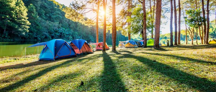 camping-tents-pine-trees-with-sunlight-pang-ung-lake-mae-hong-son-thailand